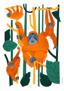 Click to zoom the picture.